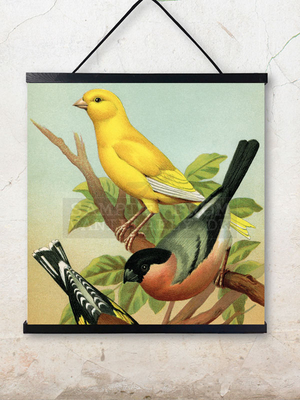 birds 50x50cm.jpg (133 KB)